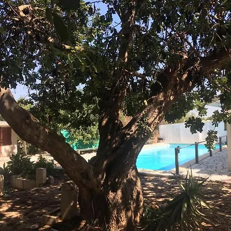 La Casa Del Carrubo Con Piscina Condivisa In Campagna Vicino Al Mare - Canestanco 18 Santa Croce Camerina