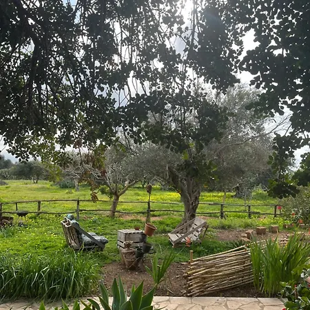 La Casa Del Carrubo Con Piscina Condivisa In Campagna Vicino Al Mare - Canestanco 18 Holiday home